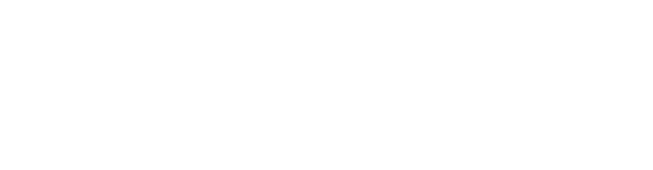 financiado por la union europea